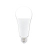 LED A70 E27 20W bulb 2043lm 3000K INQ