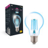 Filament LED A60 bulb E27 10W 1300lm 6500K INQ