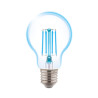 Filament LED A60 bulb E27 10W 1300lm 6500K INQ
