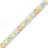 Taśma LED MAX RUN 15m 120 15W 4000K IP65 48V DC 2pin odcinek 4,2cm (24szt.1mb)