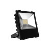 Naświetlacz led Ralf 100W 8000lm 6000K czarny