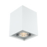 Ozzo Oprawa sufitowa FABIO 1W/AL biały aluminium