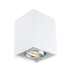 Ozzo Oprawa sufitowa FABIO 1W/AL biały aluminium