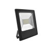 Naświetlacz led Ralf 50W 2950lm 6000K czarny