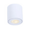 Ozzo Oprawa sufitowa ADA 1 SH-212-W/W natynkowa tuba biała IP44 wys.8cm