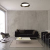 Plafon lampa sufitowa Molly 40W 3000K 2400lm fi43cm plafon złoty szczotkowany 3686