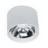 Ozzo Oprawa sufitowa n/t Axel 111R-WH AR111 GU10 tuba biała