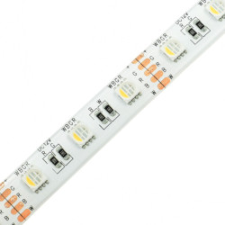 Taśma LED RGB+4000K 60 19,2W IP65 12mm 12V DC 5pin odcinek 5cm