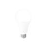 Led A70 E27 17W bulb 1710lm 4000K INQ