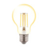 Filament  Led A60 bulb E27 10W 1300lm 3000K INQ