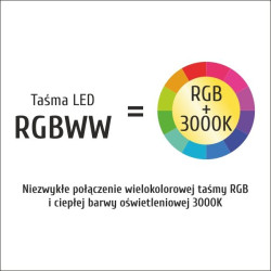 Taśma LED P5050x60 9,6W RGBW IP20 RA80 5m INQ P5050-60-20-RGBWW-5